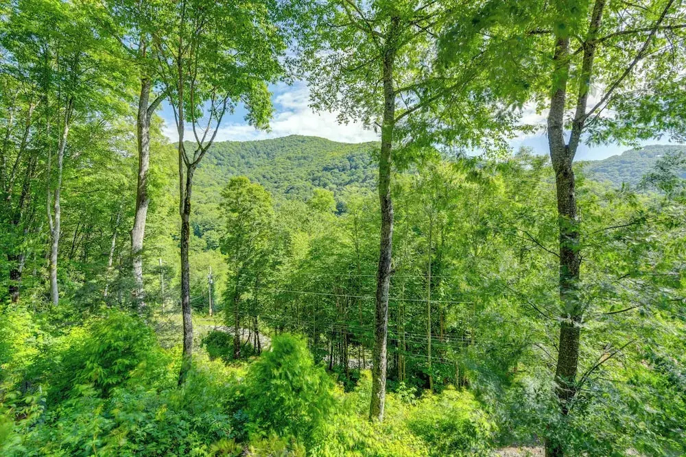 Pet-friendly Home w/ Deck + Mountain Views!