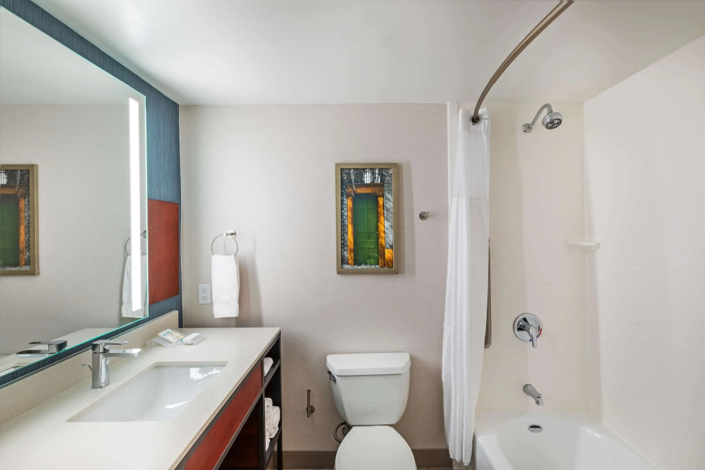 Hilton Garden Inn Houston/Sugar Land - Général