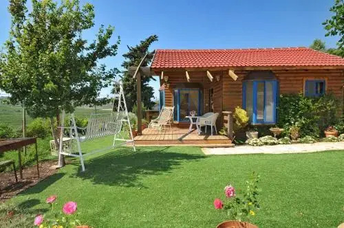 Lev Ari Accommodation For Travelers