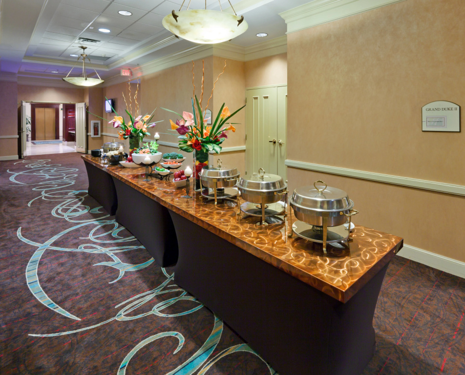 Holiday Inn Chantilly-Dulles Expo Center by IHG - Général