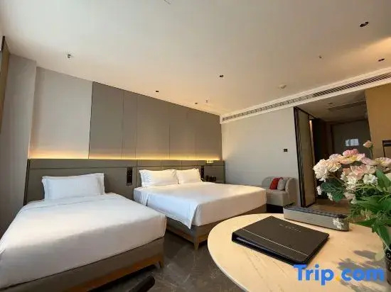 Standard Double Family room (twin beds)
