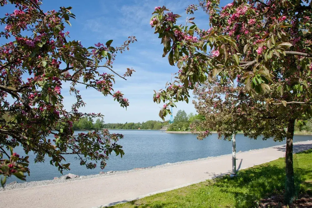 Beach & Waterfront
