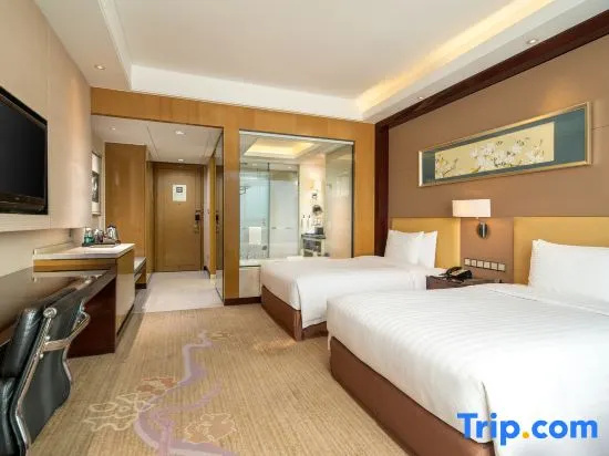 Double Apartment (full double bed)