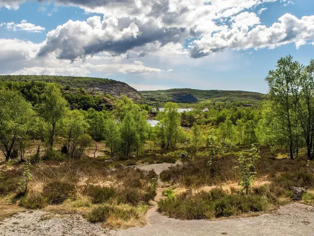 7 Person Holiday Home in Lyngdal