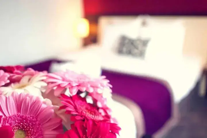 Mercure Angers Centre Gare - Chambres