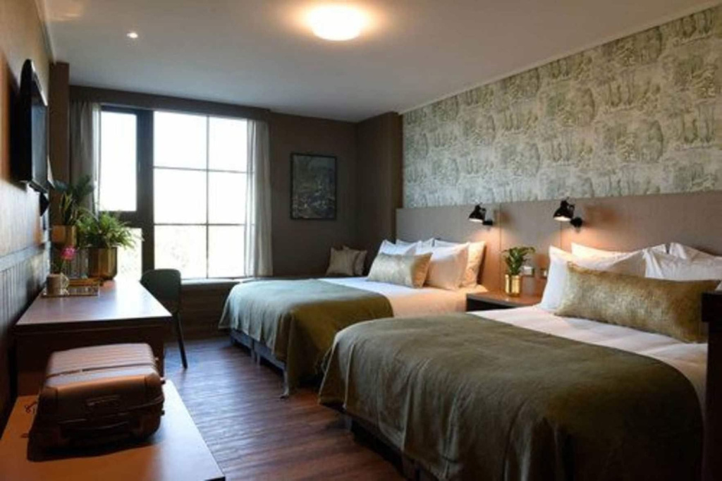 Hotel Eco Boutique Bidasoa - Général