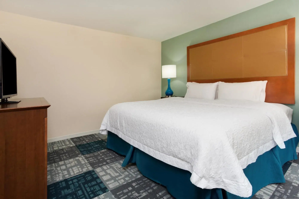 Hampton Inn Norcross - 5