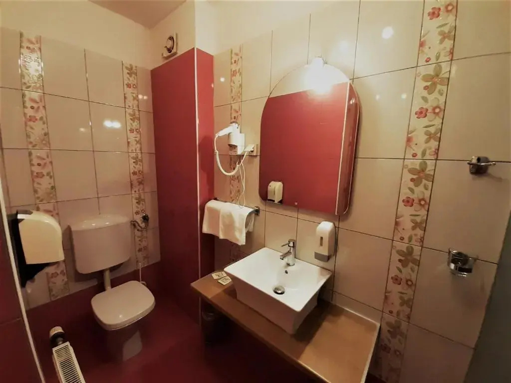 Hotel Vodisek - Chambres