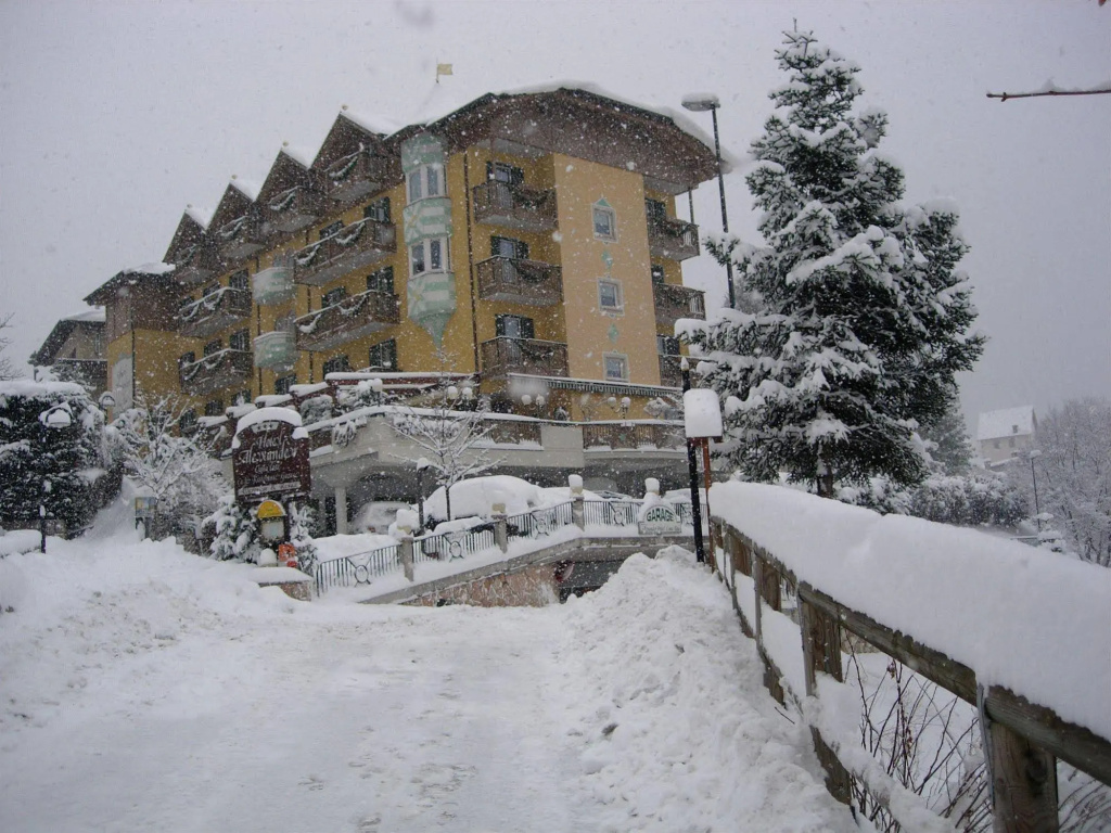 Alexander Hotel Alpine Wellness Dolomites - Général