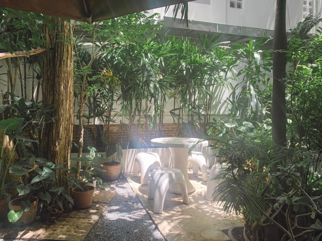 Hotel photo 12