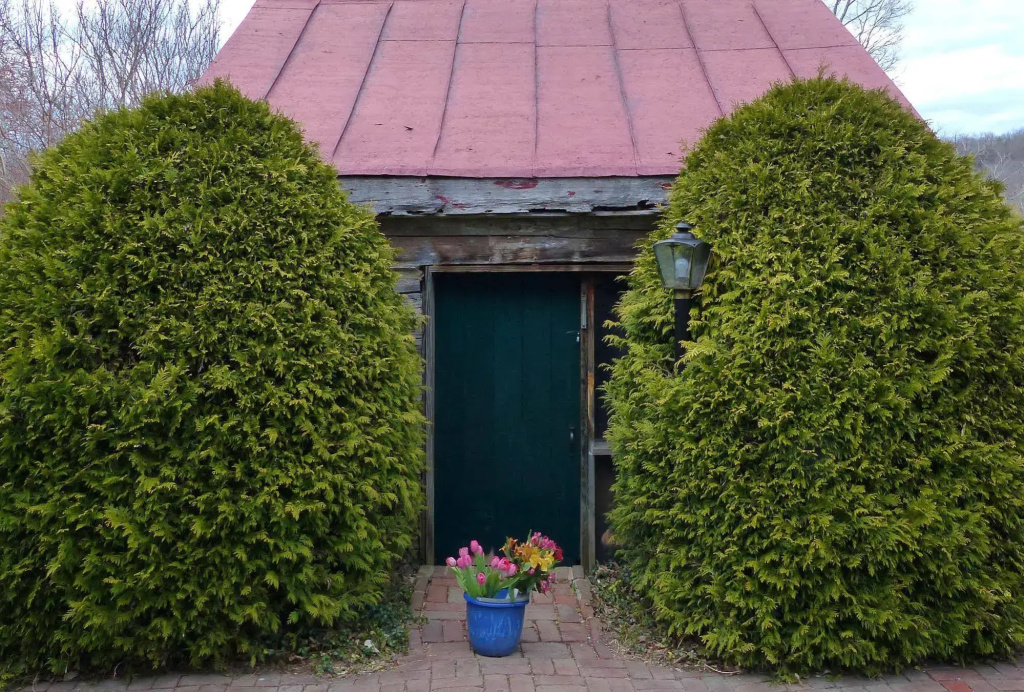Maple Hall Inn & Restaurant 1850 - Général