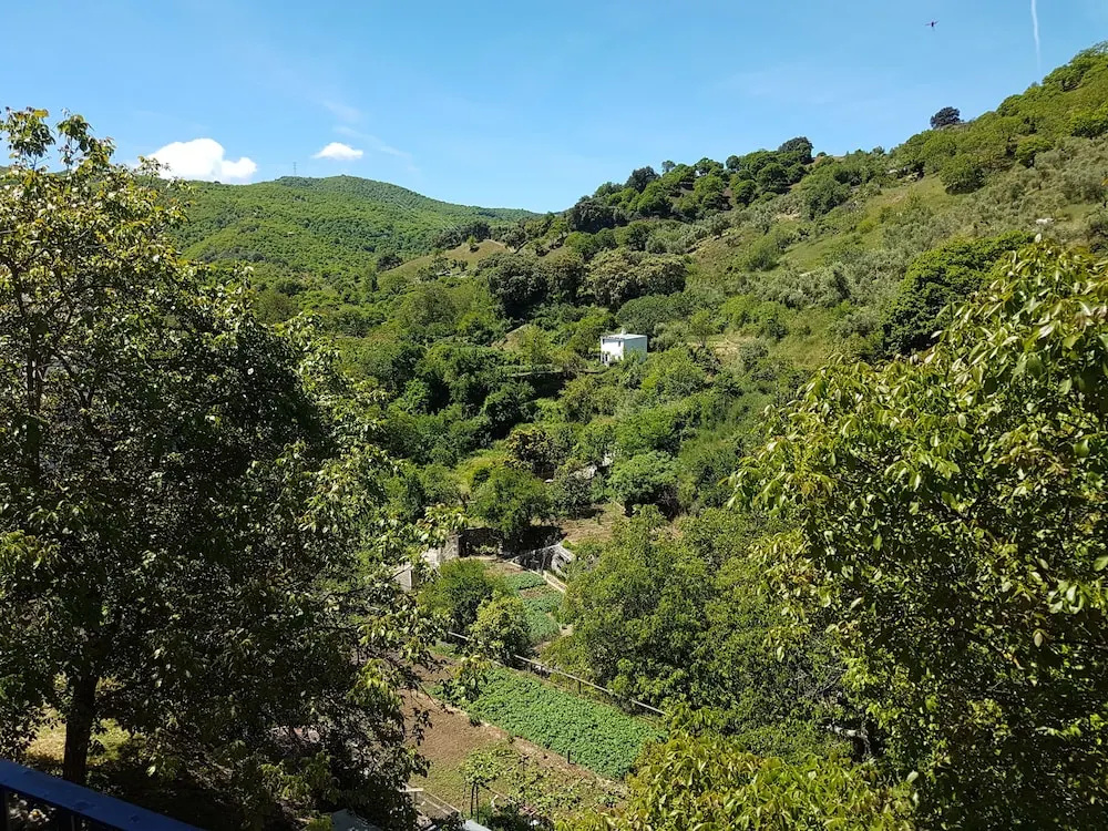Casa La Abuela