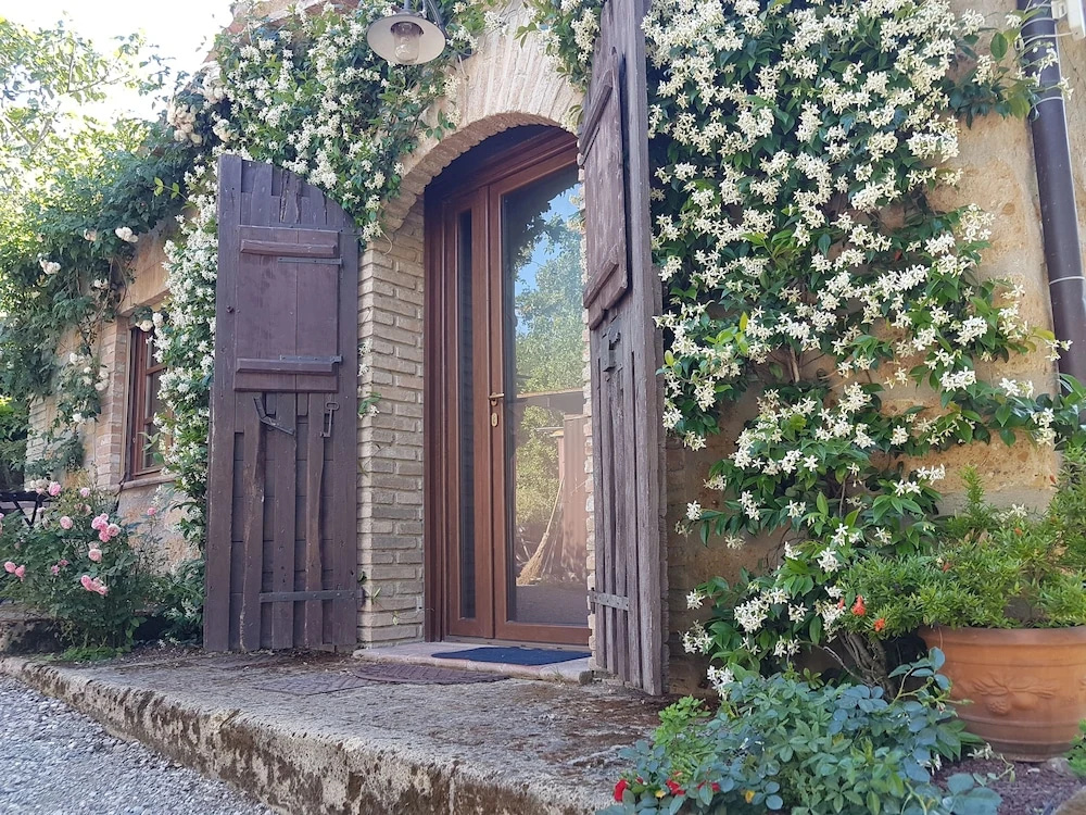 1 Bedroom Chalet