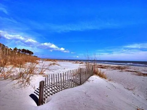 497 Captains Cove