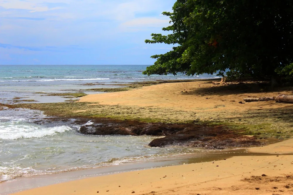 Beach & Waterfront