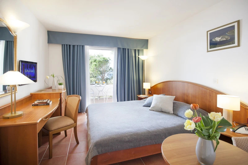 Deluxe Double room with balcony and with sea view (full double bed)