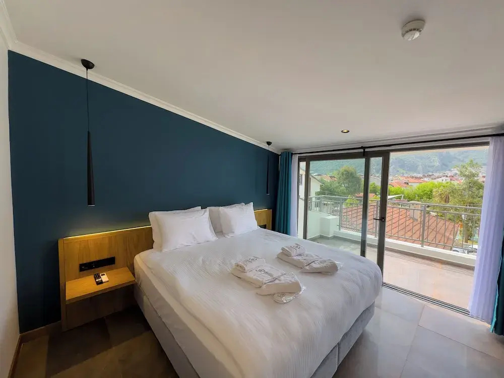 Standard Double room with mountain view (full double bed)
