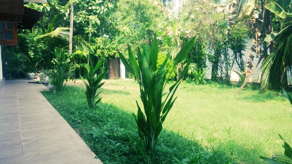 Mahawewa Nature Resort