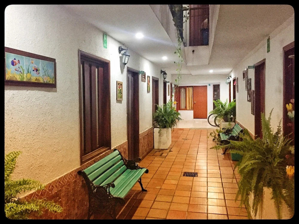 Hotel photo 13