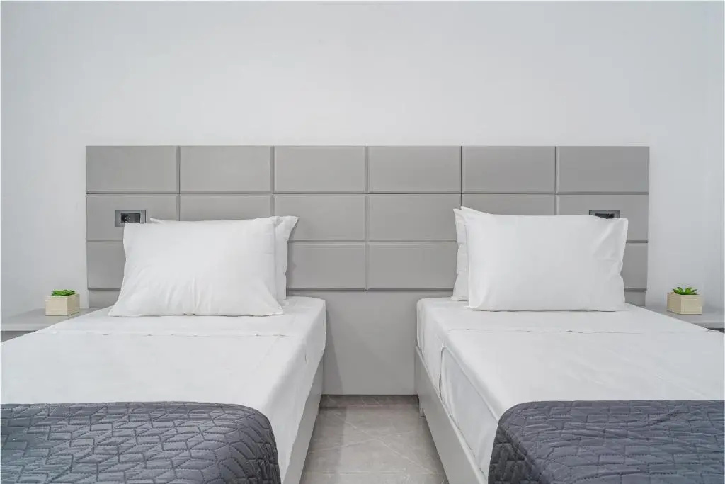 Economy Double room (twin beds)