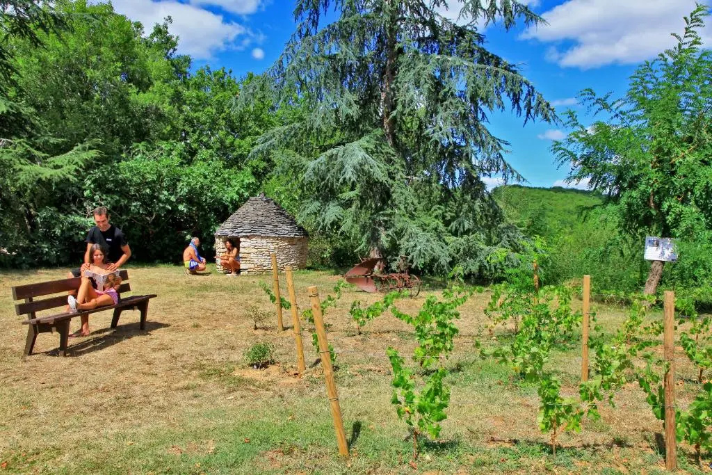 Domaine de la Paille Basse - Chambres