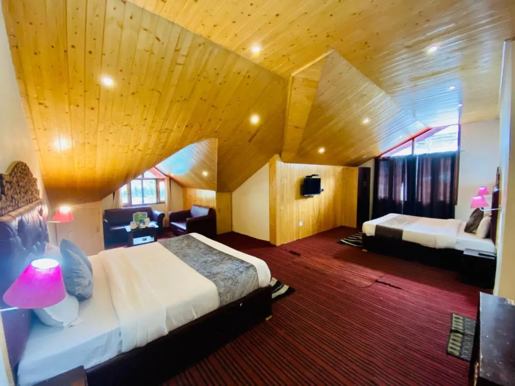 Hotel Hadimba Palace Manali - Général