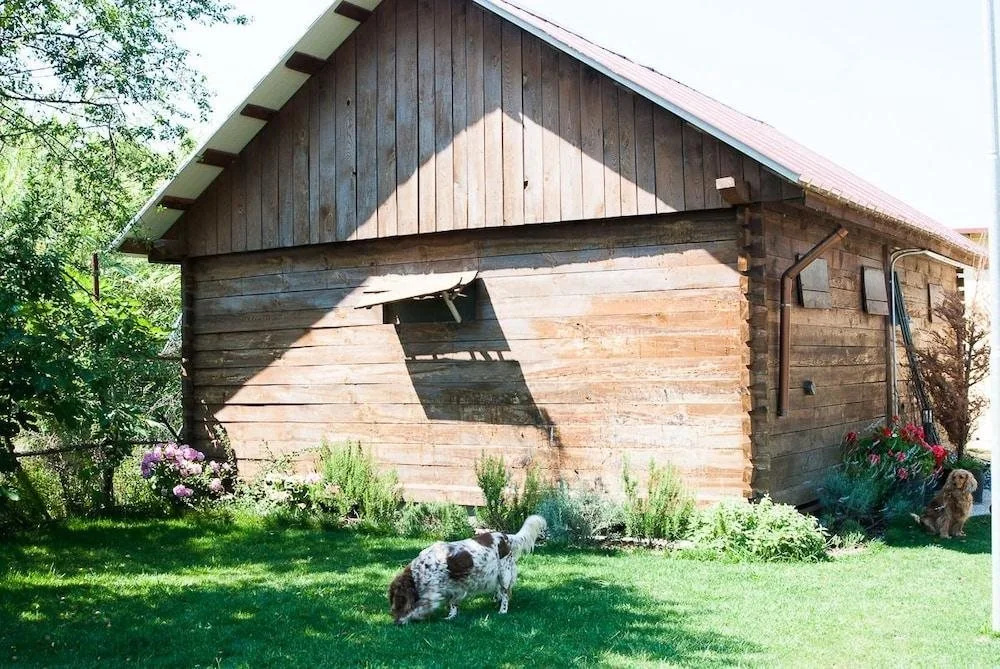 Agriturismo Bini