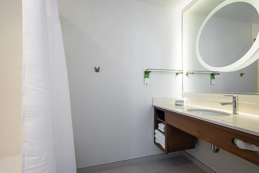 SpringHill Suites by Marriott Tampa North/I 75 Tampa Palms - Général