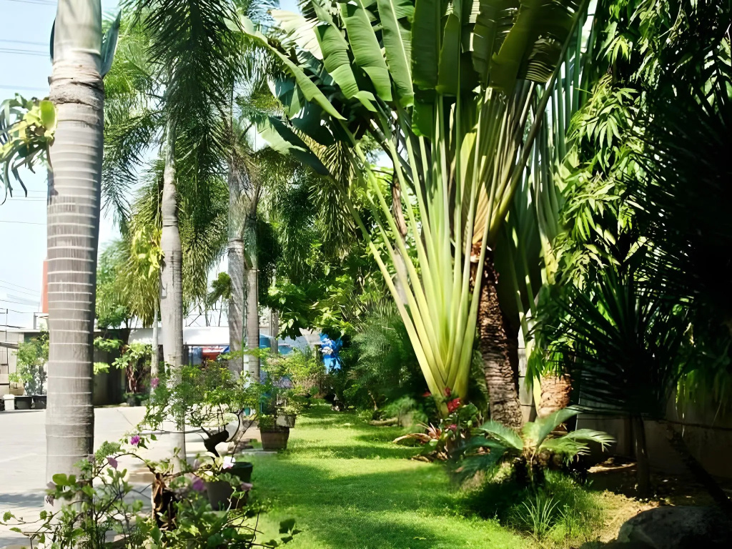 Hotel Kings Kudus - Général