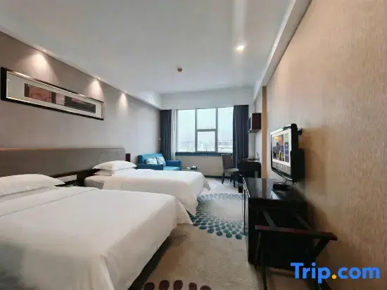 Standard Double room with city view (twin beds)