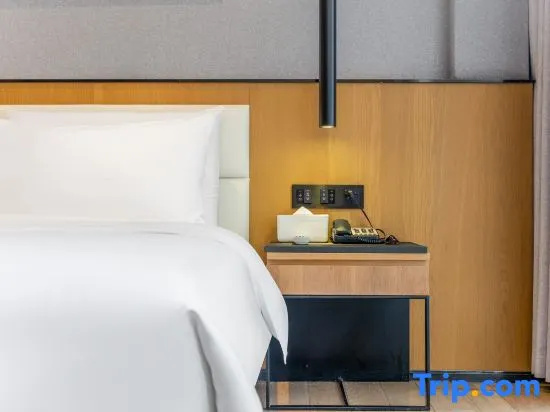 Standard Double room with city view (full double bed)