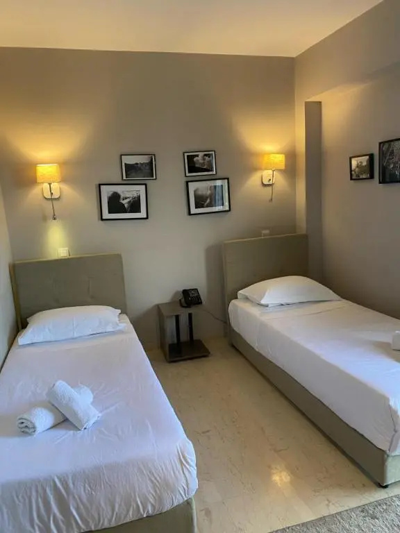 Standard Double room (twin beds)