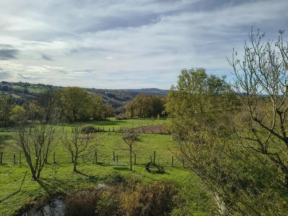 Hotel photo 46
