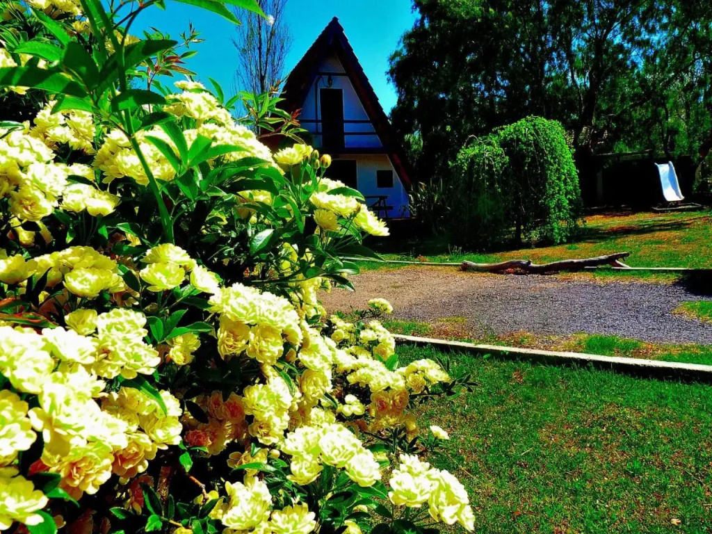 Cabañas Verde y Blanco