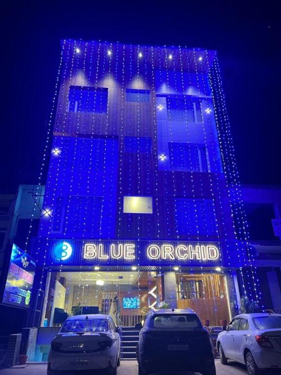 Hotel Blue Orchid image