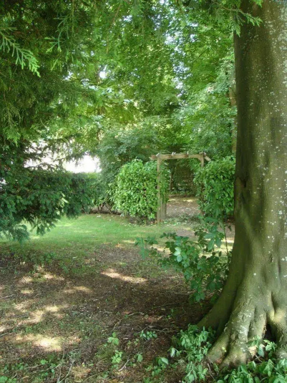 The Apple Wood