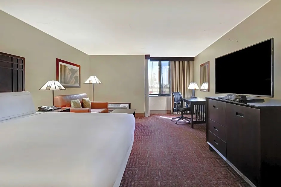 Double Suite with pool view (full double bed)