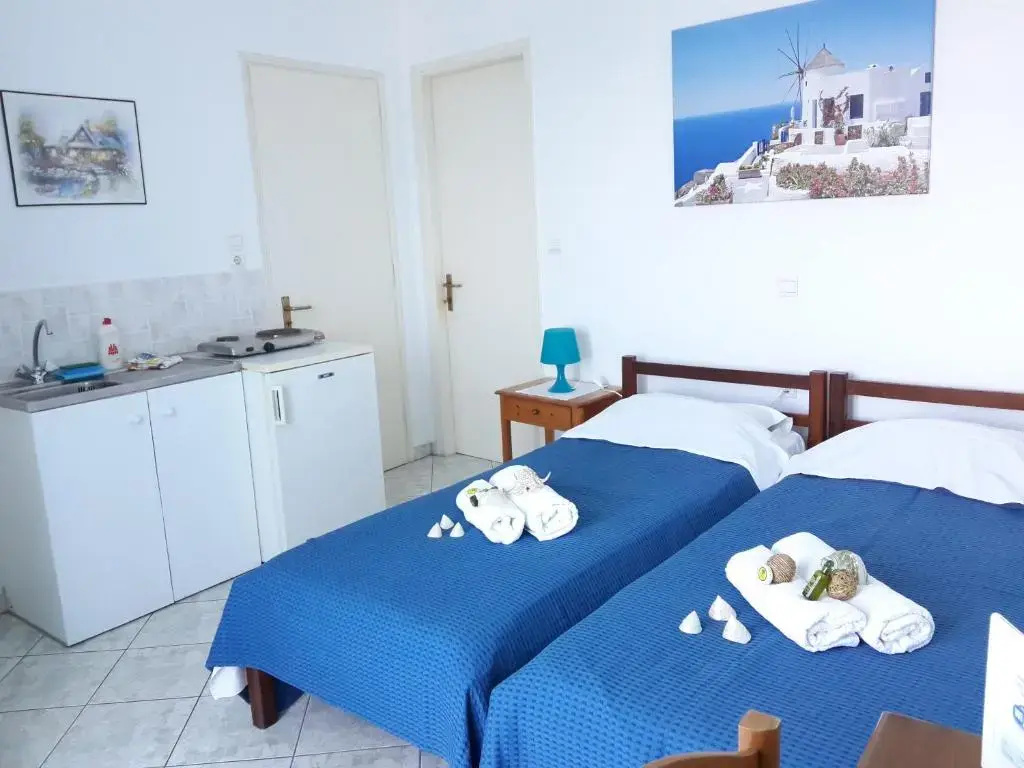 Standard Double room (twin beds)