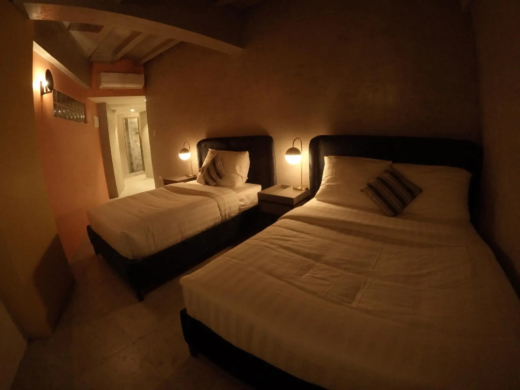 Superior Double room (twin beds)
