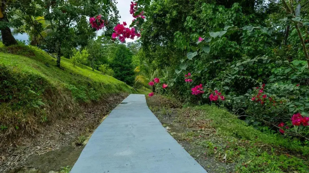 Serenity Rainforest Condos - фото 40