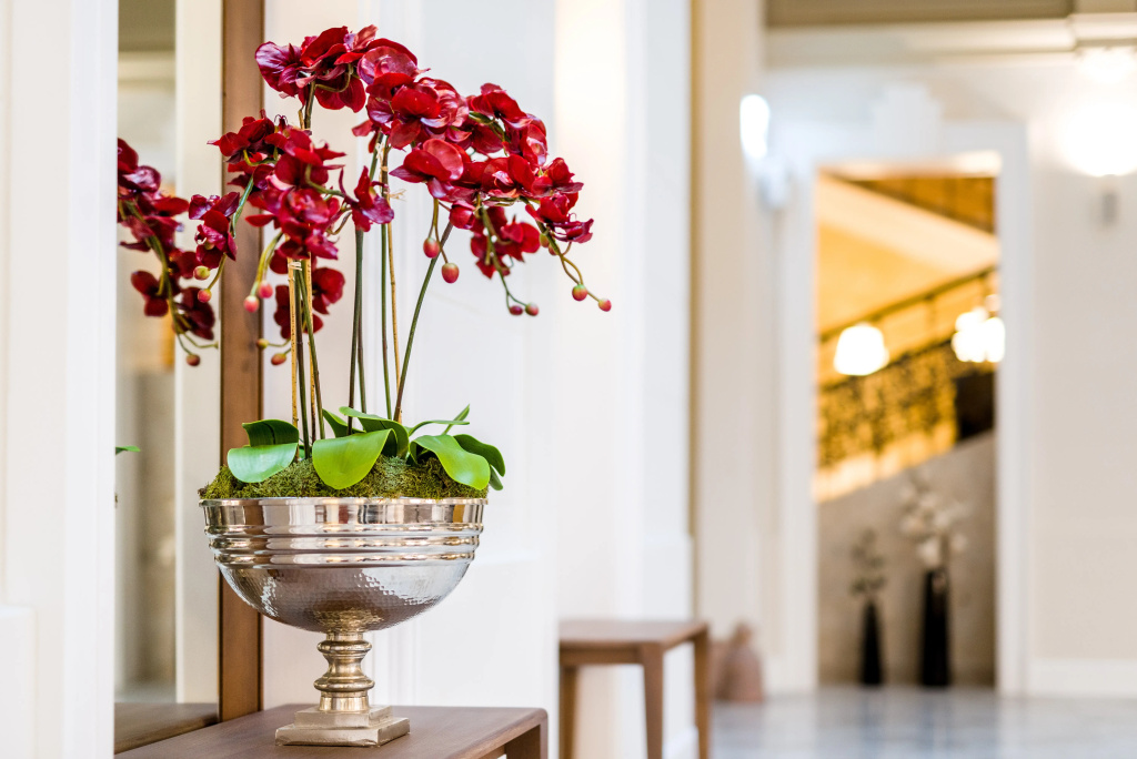 Lobby & Reception