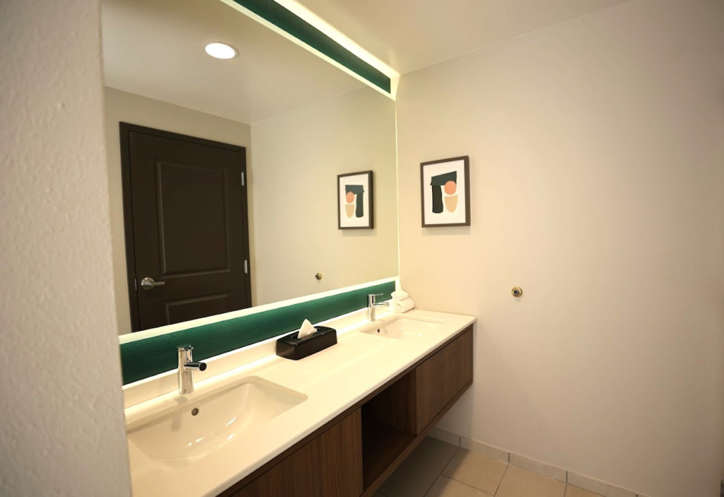 Holiday Inn St. Louis Fairview Heights by IHG - Général