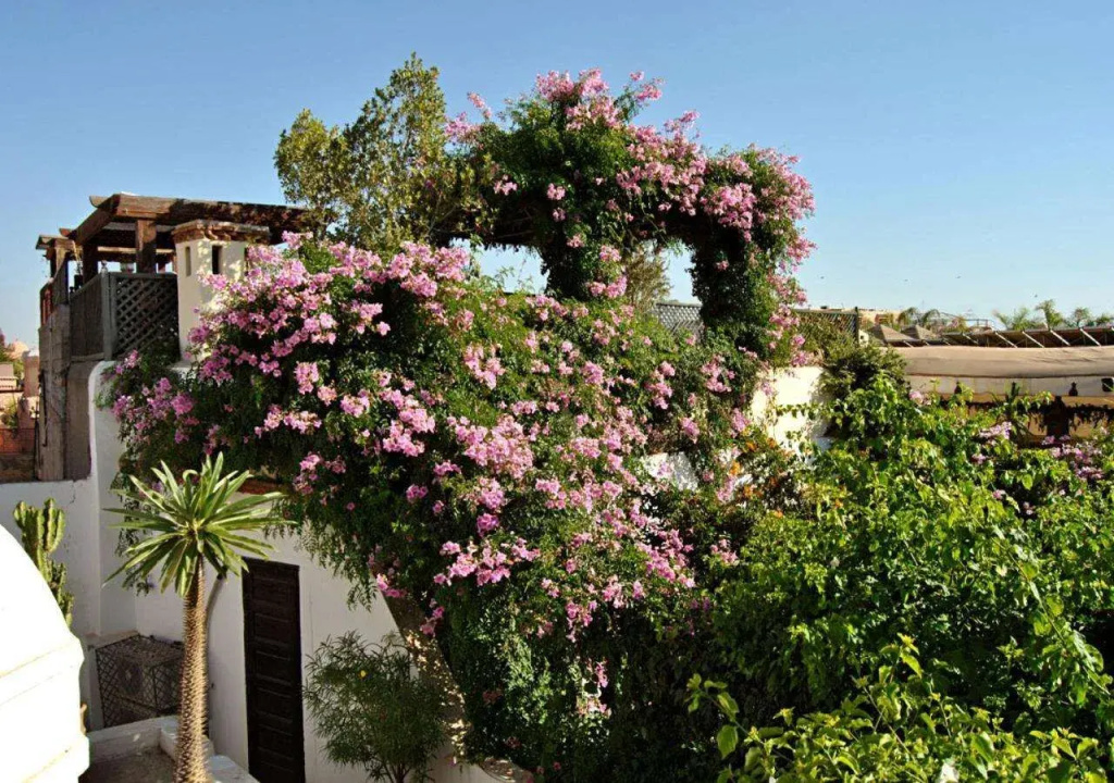 Riad Lyla Marrakech - Général
