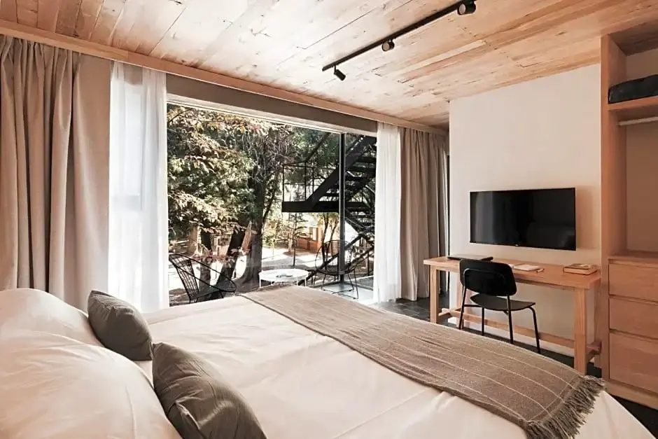 1 Bedroom Suite