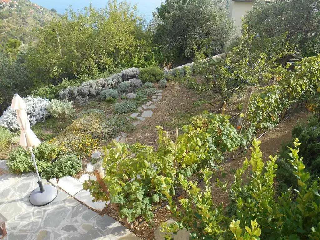 Standard Double room with sea view (full double bed)