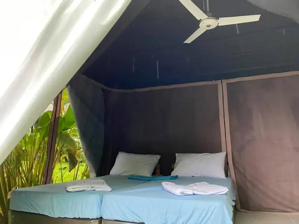 Tent