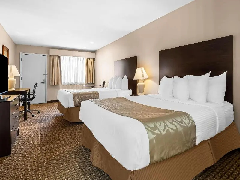 Standard Double room (twin beds)