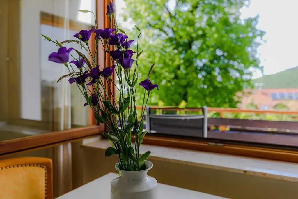 Balcony & Terrace