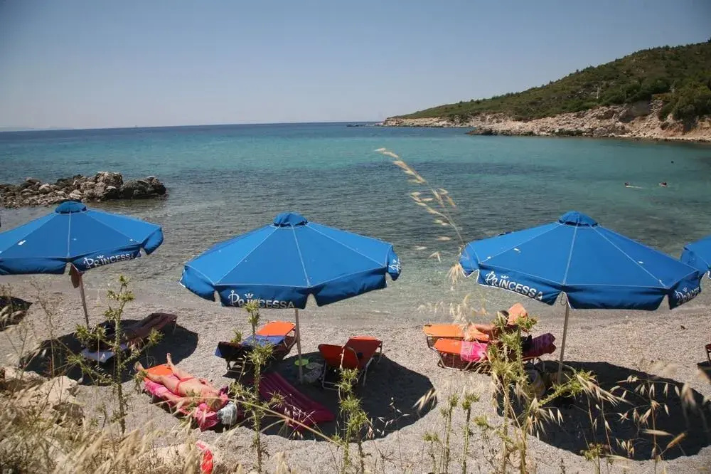 Beach & Waterfront