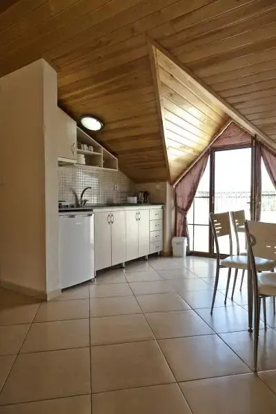 Standard Penthouse room
